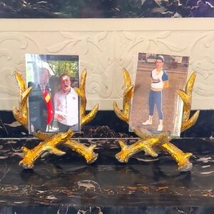 Gold Antler Photo Frame Set...Fits 4x6